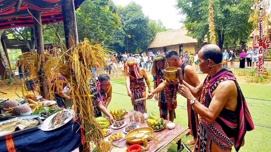 The new rice ritual of the Co Tu